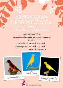 exposición ornitológica