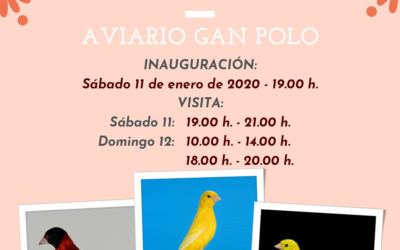Exposición Ornitológica