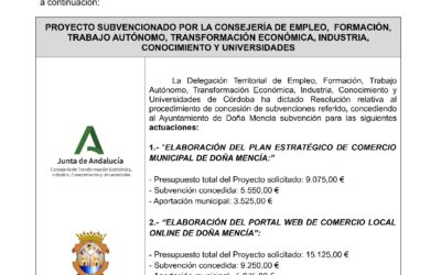 Convocatoria de Subvenciones, en régimen de concurrencia competitiva, dirigidas a los ayuntamientos y destinadas a impulsar la mejora, modernización y promoción del comercio y la artesanía en Andalucía, periodo 2021-2022