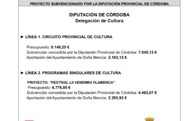 Convocatoria de subvenciones de colaboración cultural con los municipios y entidades locales autónomas que desarrollen proyectos, programas y actividades de cultura en la provincia de Córdoba, ejercicio 2024