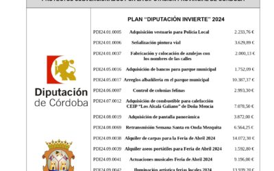 Convocatoria del PLANPROVINCIAL DE REACTIVACIÓN ECONÓMICA PARA LAS ENTIDADES LOCALES DE LAPROVINCIA DE CÓRDOBA. PLAN “DIPUTACIÓN INVIERTE”. (Ejercicio 2024)