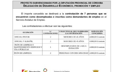 Convocatoria de subvenciones a municipios y entidades locales autónomas del Programa de Empleo “Diputación Contrata” de la Diputación Provincial de Córdoba, 2024