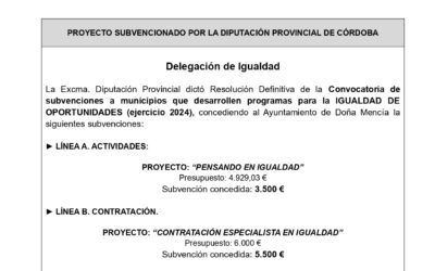 Convocatoria de subvenciones a municipios y entidades locales autónomas que desarrollen proyectos, programas y actividades para conseguir la igualdad de oportunidades entre mujeres y hombres y la eliminación de la discriminación por razón de sexo u orientación sexual, en la provincia de Córdoba, ejercicio 2024